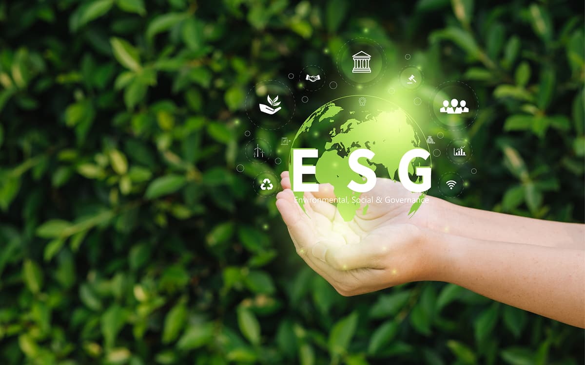 Tiêu chuẩn về môi trường Tiêu chuẩn về môi trường